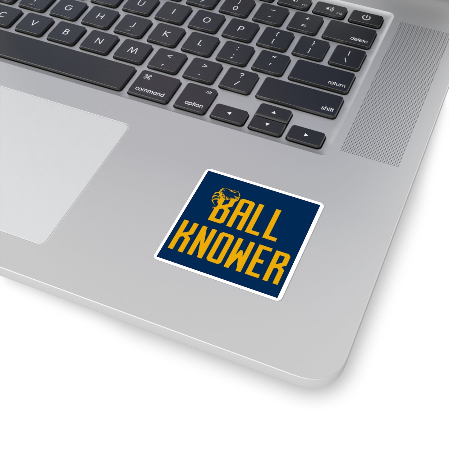 Ball Knower Sticker